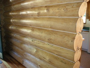 Log wall in a log home after it has been refinished and chinked by Log and Timber Works Saskatchewan